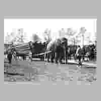 111-0773 Ein Elefant auf dem Wehlauer Pferdemarkt im Einsatz.jpg